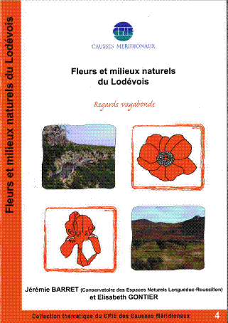 rencontres le vigan 30120