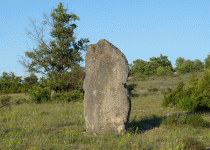 Un menhir dans la plaine du Coulet