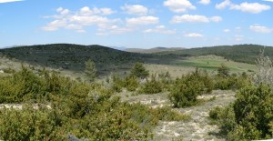 Le causses de Blandas