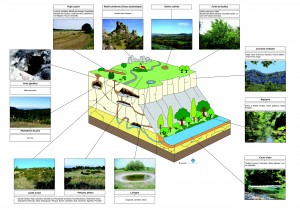 karst cpie milieu moyen-moy2