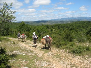 Nous approchons de St Maurice