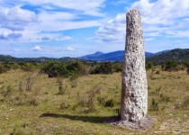 Un menhir 