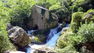 Résurgence de La Vis sous un moulin de La Foux